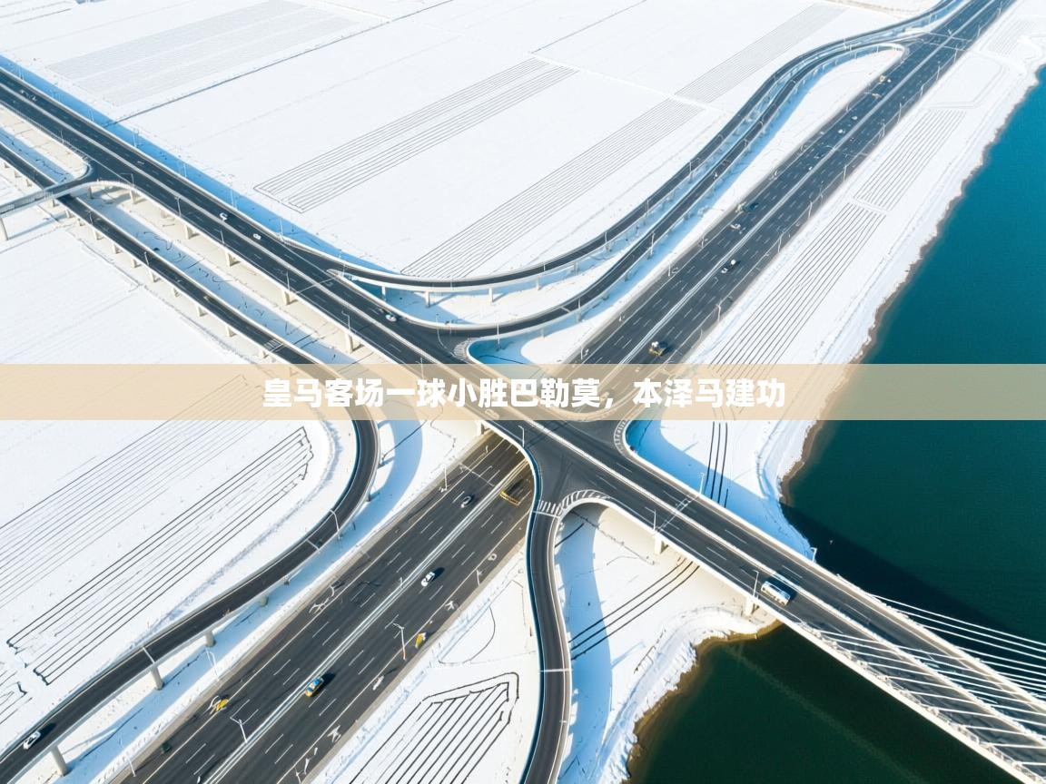 皇马客场一球小胜巴勒莫,本泽马建功 第2张