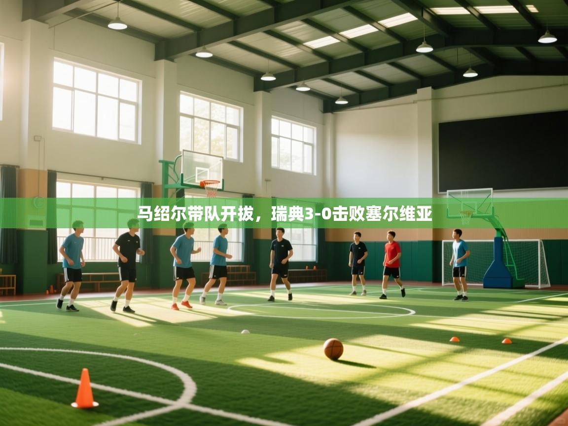 马绍尔带队开拔，瑞典3-0击败塞尔维亚  第2张