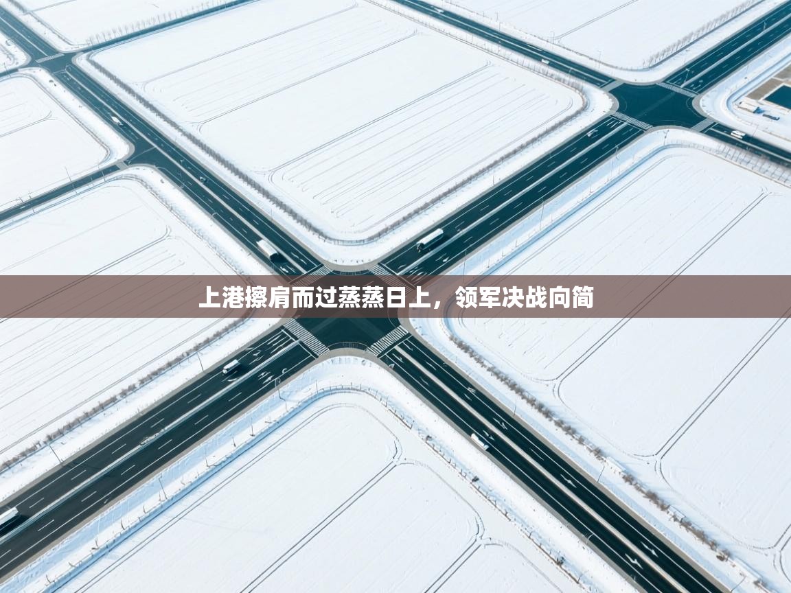 上港擦肩而过蒸蒸日上,领军决战向简 第1张