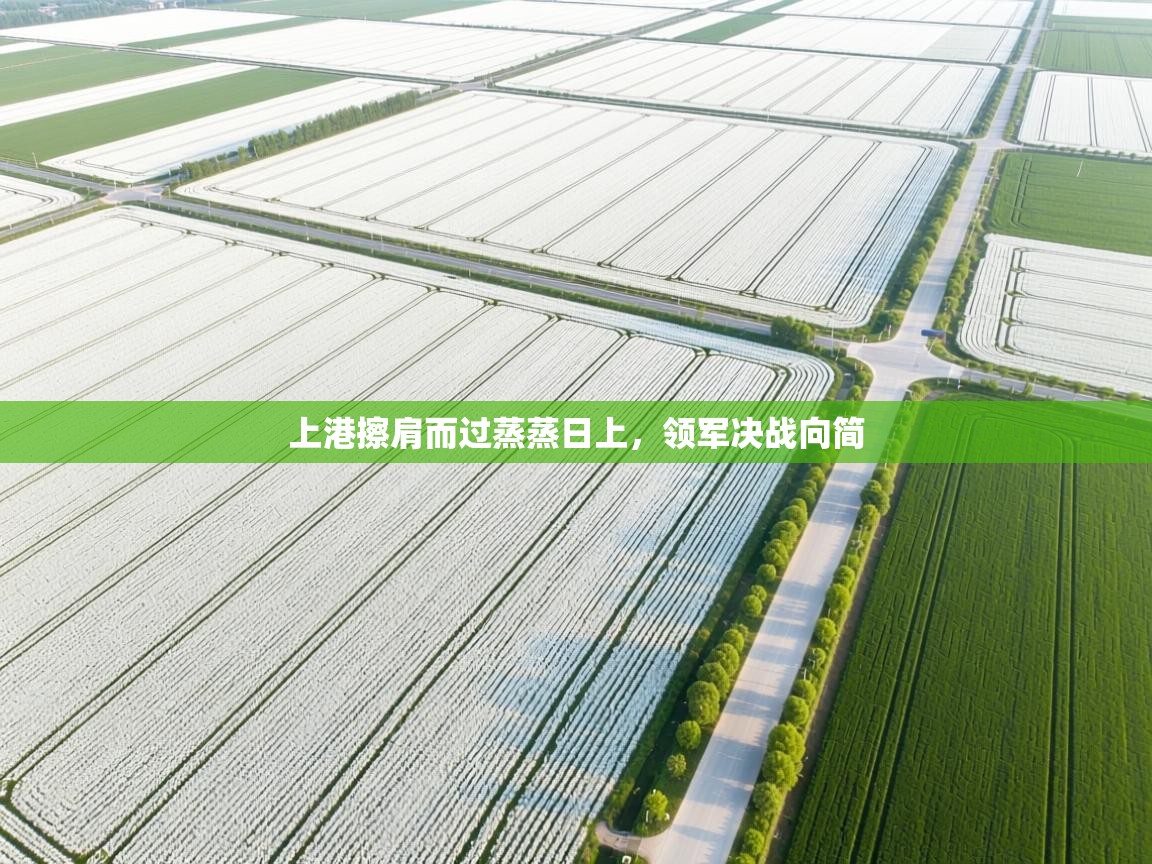 上港擦肩而过蒸蒸日上,领军决战向简 第2张