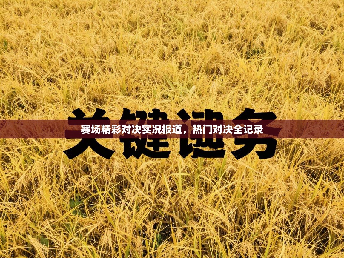 赛场精彩对决实况报道，热门对决全记录  第2张
