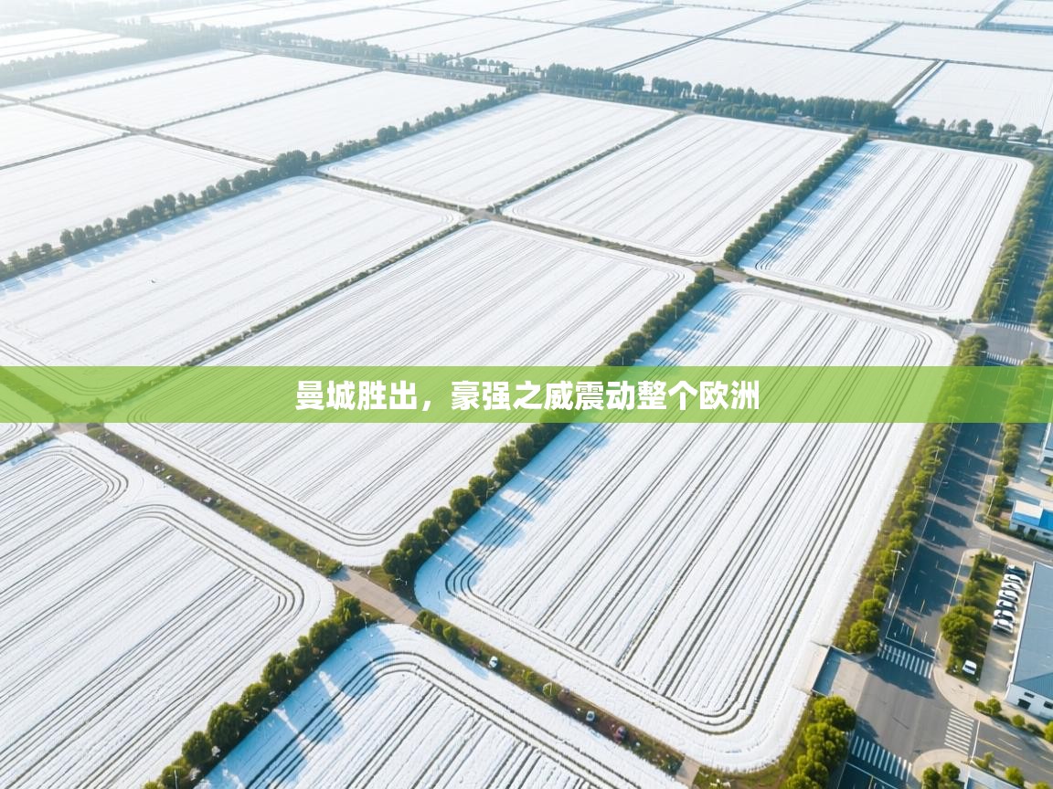 曼城胜出,豪强之威震动整个欧洲 第1张